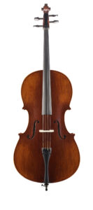 stentor elysia english model